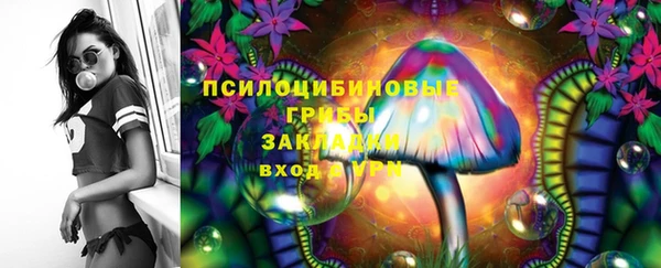 гашик Алзамай