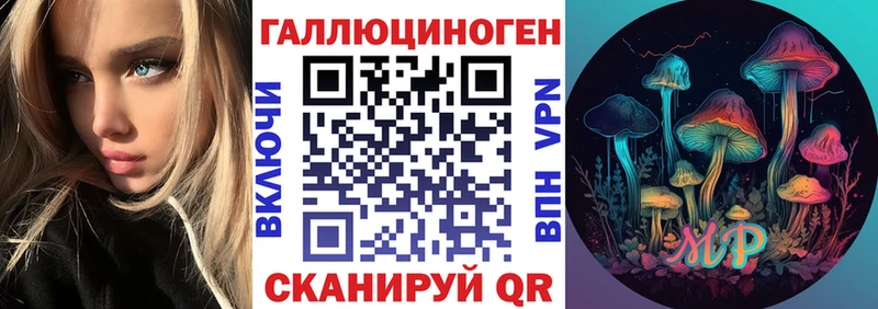 Псилоцибиновые грибы Cubensis  kraken как войти  Сельцо  наркотики 